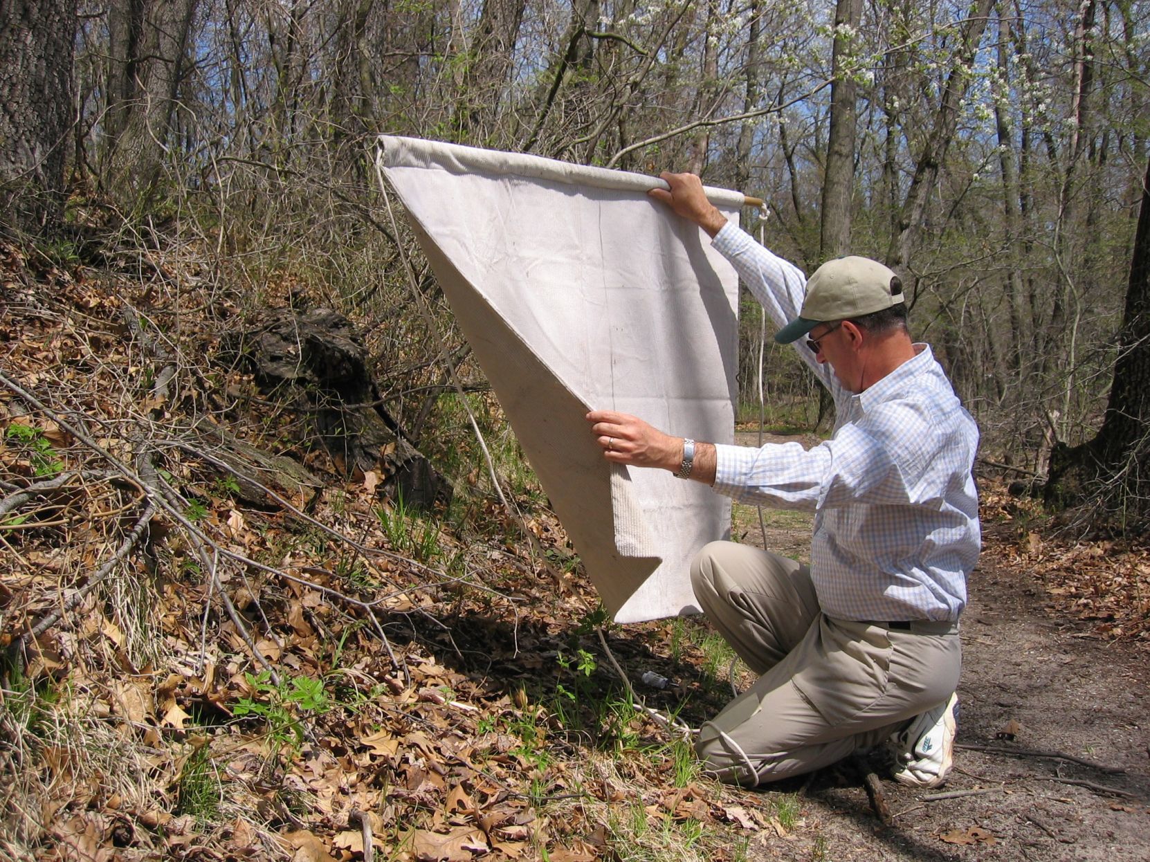 Catching ticks